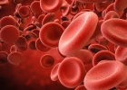 Krvný obraz ako bežné krvné vyšetrenie. Čo o vás povie a ako mu porozumieť?