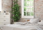 Je vhodné mať rastliny v spálni a detskej izbe?