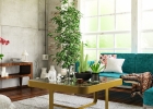 TIP: 6 izbových rastlín, ktoré sú nenáročné na starostlivosť.