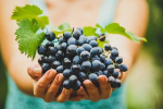 Domáca lekárnička: HROZNO a jeho účinky na naše zdravie + recepty z viniča