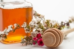 Antibakteriálny manuka med - je to hotový prírodný poklad!