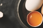Čo myslíte, ktoré vajce pochádza zo zdravej sliepky?