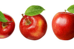 Jablko – ovocie z Rajskej záhrady