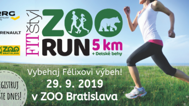 zoo run, beh, bratislava, medved, félix, bežecké podujatie, 2019, bežci, behsity, behame, kde behať v lete, leto, fit styl running team, fitastyl.sk