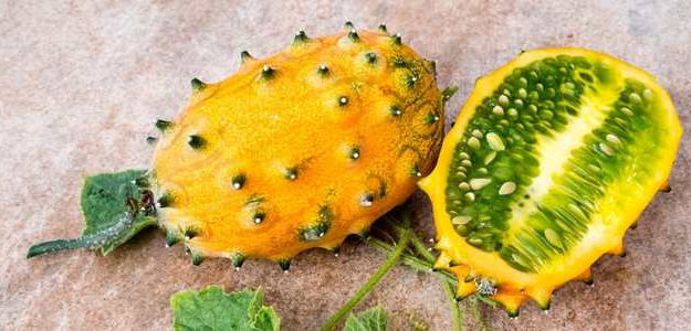 Kiwano má oranžovú farbu, zelenina kiwano, rohatý melón