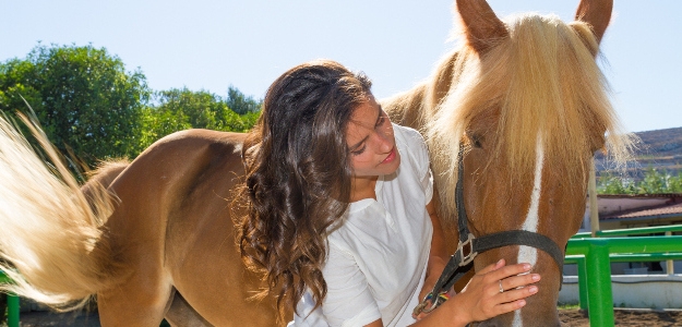 Jazda na koni nie je len o jazdení. Ako správne pripraviť tátoša na jazdu?