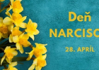 deň narcisov, liga proti rakovine, narcis, zbierka, rakovina, onkologickí