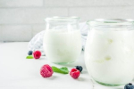 Zdravotné benefity bieleho jogurtu: Zmierňuje zápal a zvyšuje imunitu
